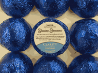 showersteamerclarity