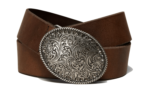 American Eagle Sparkle Plaque Belt