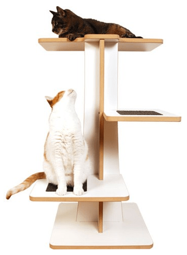 Acacia Cat Tree