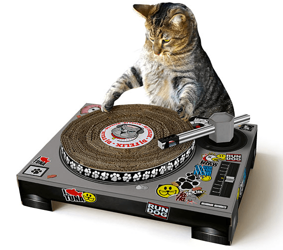 Cat Scratch DJ