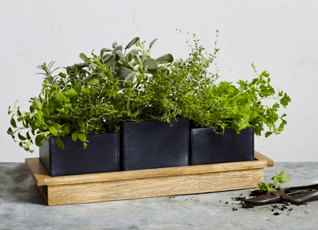 Chalkboard Planter