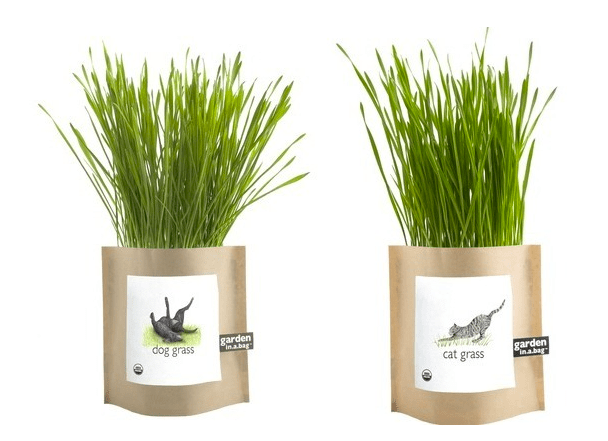 Pet Grass Garden In A Bag