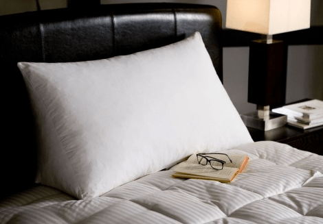 Reading Wedge Pillow