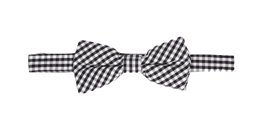Gingham Bowtie