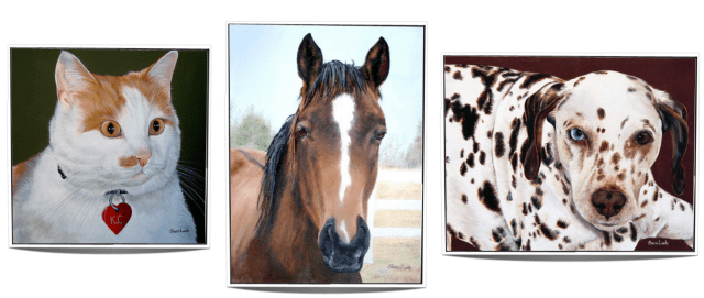 Pet Portraits