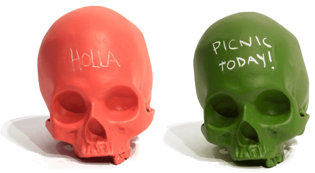 Homo Sapien Chalkboard Skull