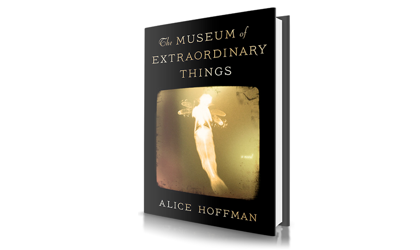 Book Report The Museum of Extraordinary Things Canadian Gift Guide
