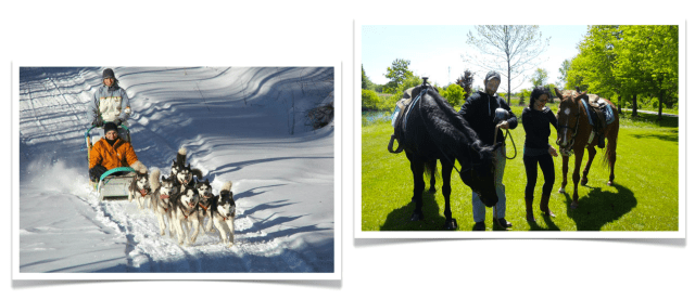 Breakaway Experiences Dog Sledding and Horseback Riding