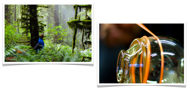 Breakaway Experiences Rainforest Tour and Glass Blowing