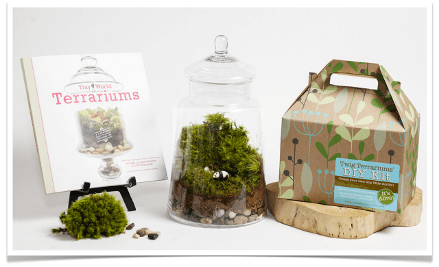 Twig Terrarium DIY Kit