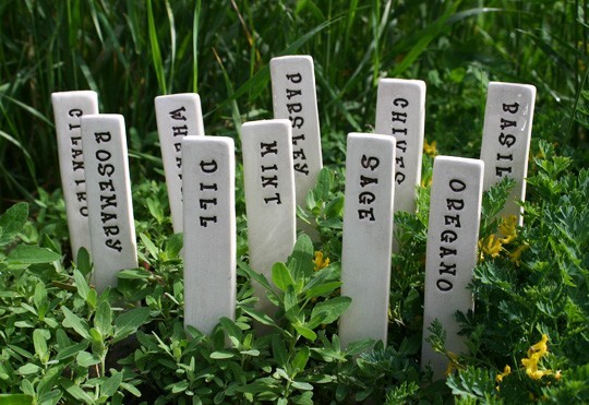Herb Plant Markers