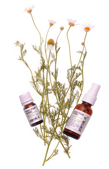 Yarok Feed Your Shine