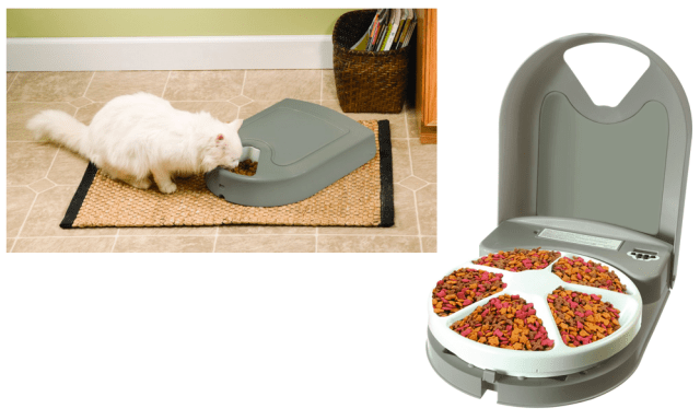 PetSafe 5-Meal Automatic Pet Feeder