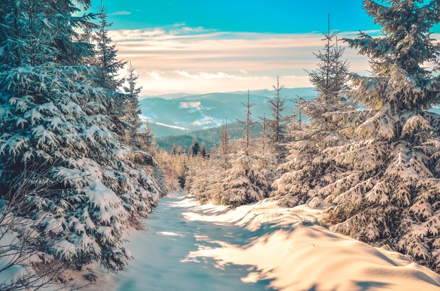 Winter mountain trail on a sunny day.