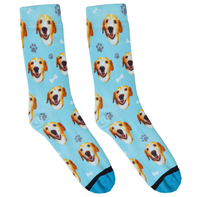 DivvyUp Socks
